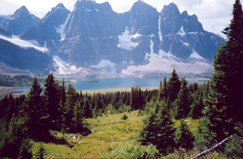 Tonquin Valley, Amethyst Lakes Campground