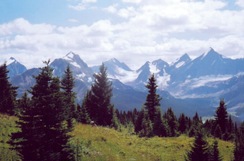 Glacier Lake Campground
