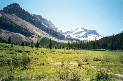Cascade River Fire Road Trail, Cascade River Bridge Campground