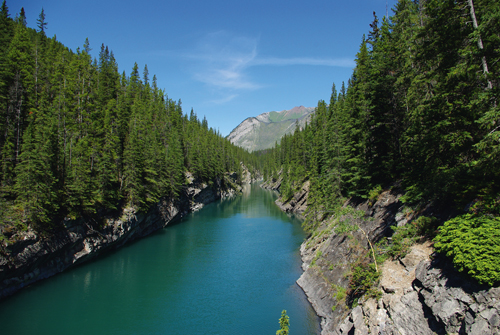 Lake Minnewanka, Aylmer Pass Campground (LM 8)
