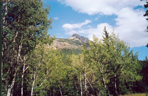 Cinquefoil Mountain