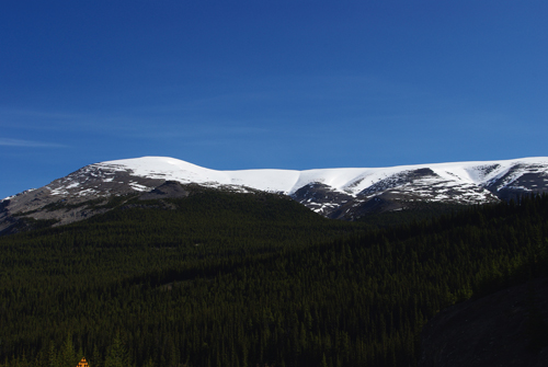 Tangle Ridge