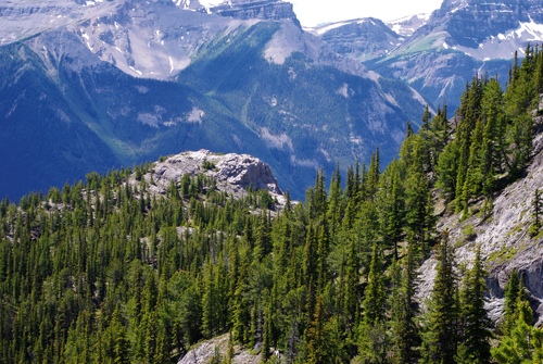 Geodetic Survey of Canada Marker 696005 (Twin Peaks)