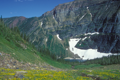 Wall and Forum Lakes in Akamina-Kishinena Provincial Park