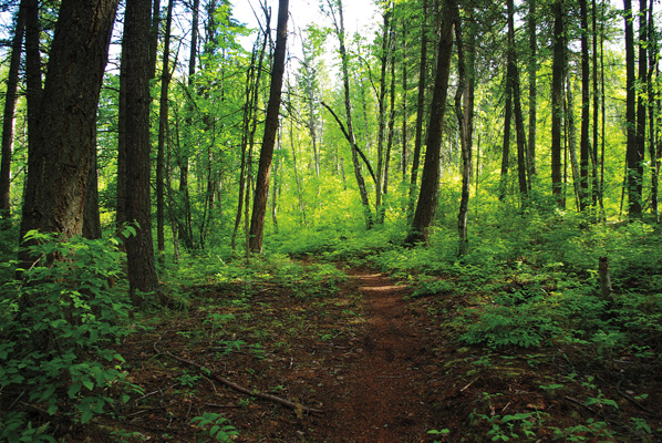Blind Bay to White Lake Connector