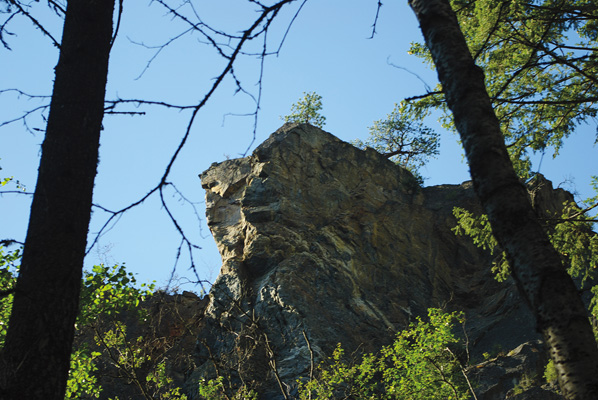 Cougar Canyon