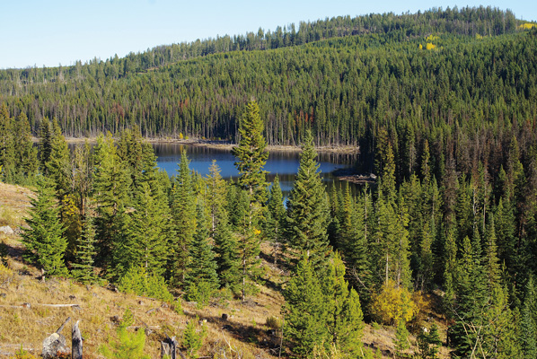 Oyama Lookout