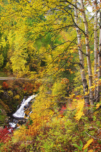 Fairy Creek Falls
