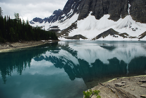 Floe Lake Campground