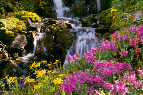 Chalice Creek