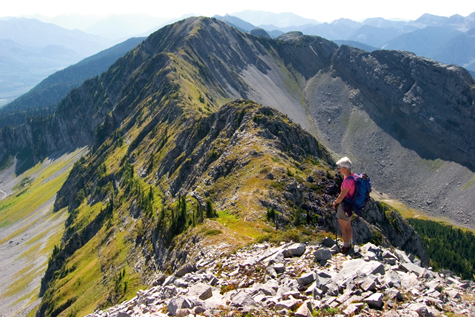 Fernie Alpine Resort – Skyline Ridgewalk