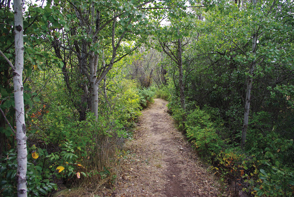 Grey Canal Trail