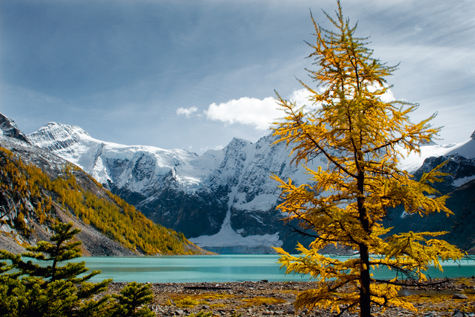 Lake of the Hanging Glacier