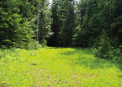 Larch Hills Nordic Trail Centre