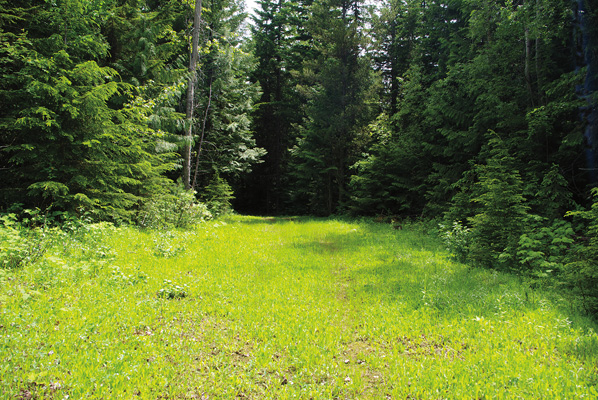 Larch Hills Nordic Trail Centre