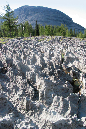 Top of the World Provincial Park: Lussier River to Fish Lake