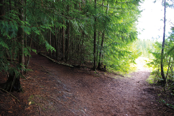Little Mountain Park