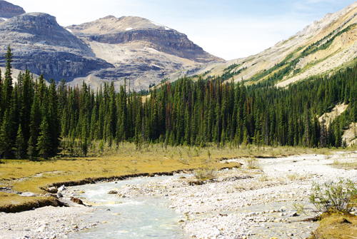 Little Yoho Campground