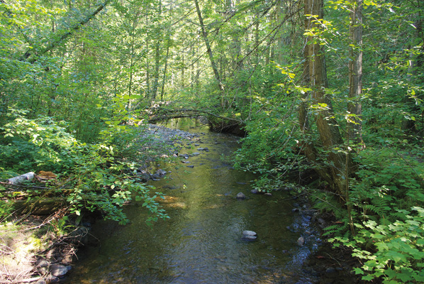 Lower Flume Trail