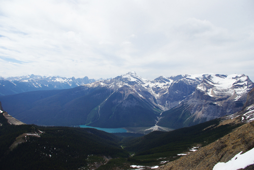 Mount Field