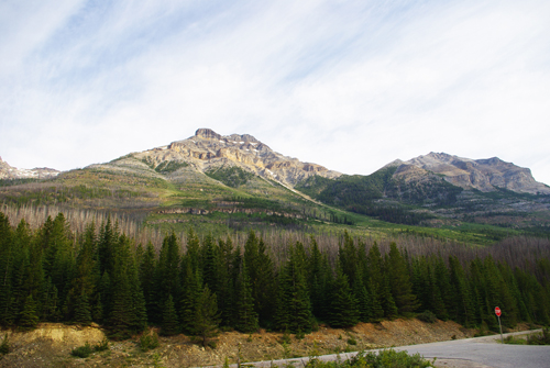 Mount Whymper
