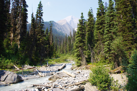 Numa Creek Campground