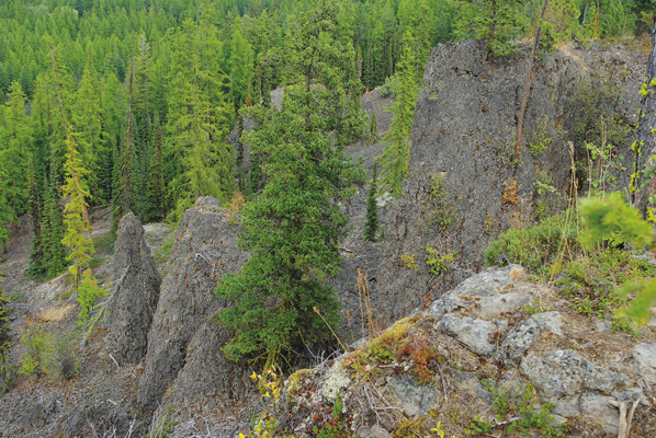 Rimrocks