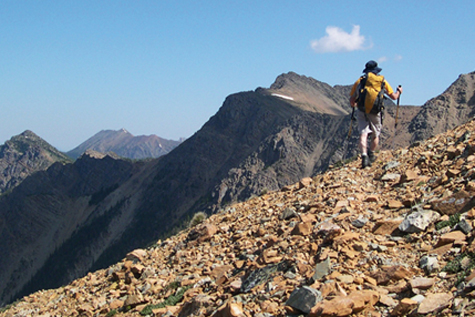 Saddleback Ridge