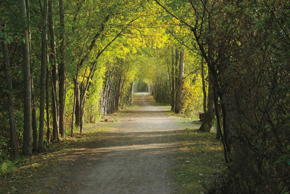 Salmon Arm Waterfront Trail (including the Salmon Arm Wharf Trail and Raven Trail)