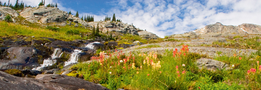 Silent Pass