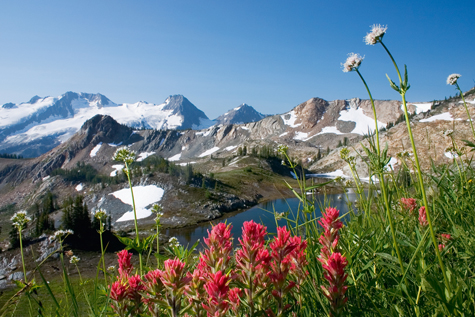 Silver Basin