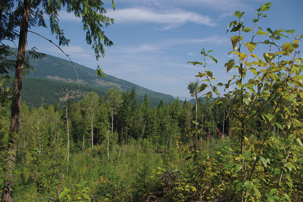 Skimikin Lake Recreation Area – East View Loop