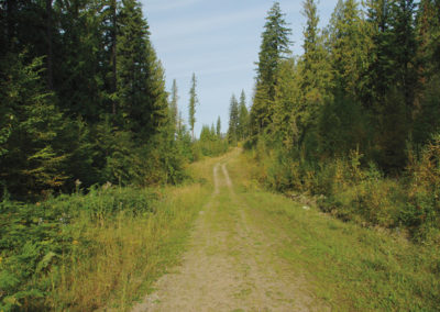 South Canoe Trail System