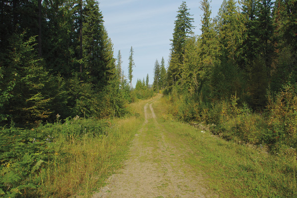 South Canoe Trail System