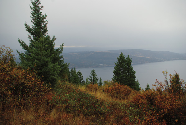 Sugarloaf Mountain