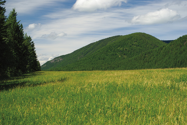 Sunnybrae Bluffs