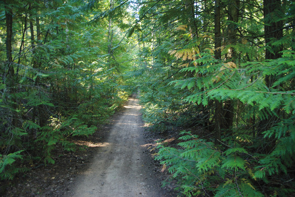 Tappen Bluffs