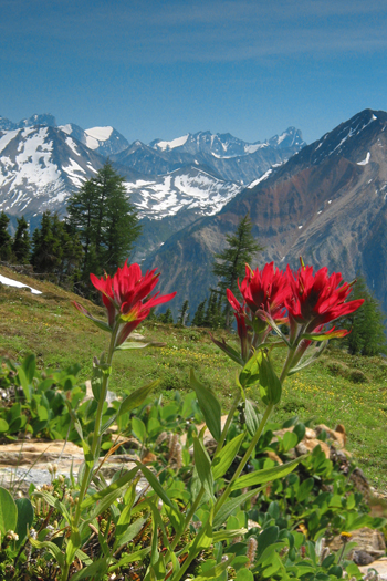 Tiger Pass to Shangri-la (Upper Dunbar Lakes)