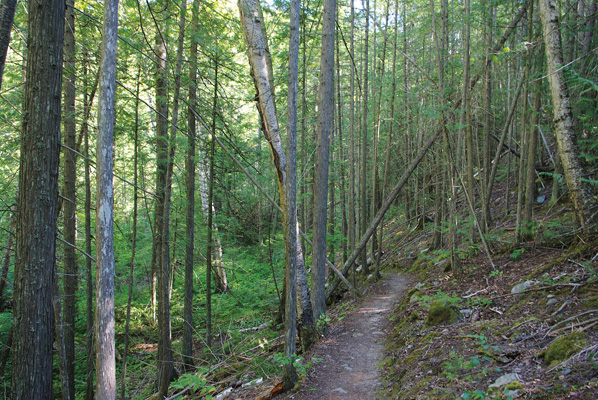 Upper Flume Trail