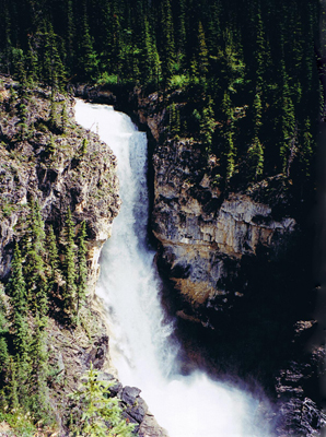 Whitehorn Campground