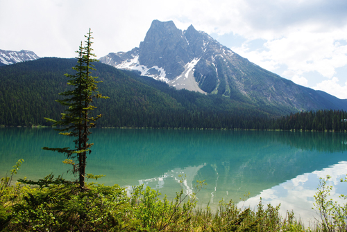 Yoho Lake Campground